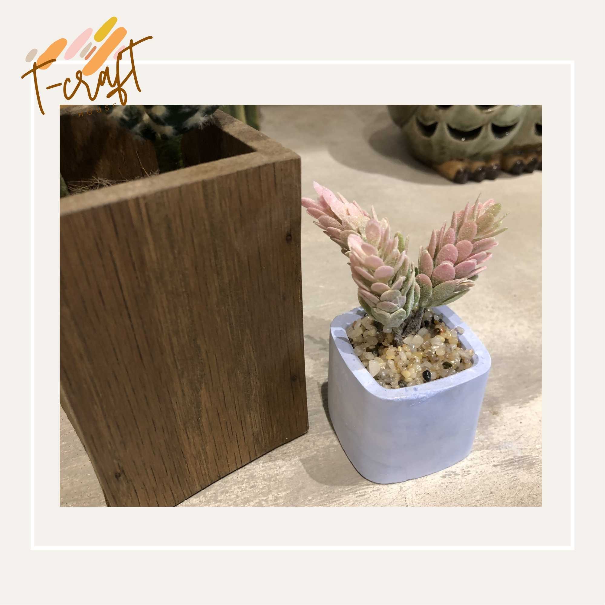 CÂY GIẢ CHẬU THẠCH CAO NHÀ LÀM NHIỀU MÀU SẮC CHO KHÔNG GIAN THÊM SỐNG ĐỘNG VÀ TƯƠI MÁT T.CRAFT HOUSE