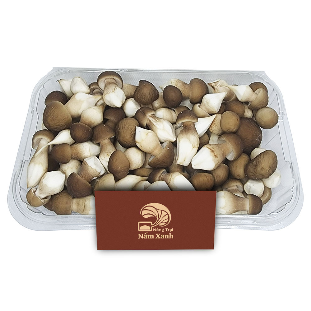 Nấm Mối Đen Tươi 200gr - Nông Trại Nấm Xanh