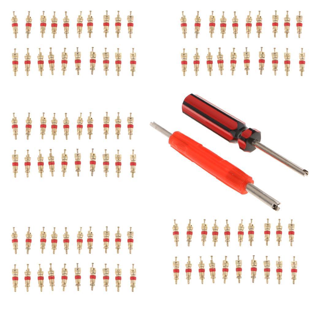 102Pcs Tire Valve Stem Core Part Dual /Single Head Valve Core Remover Set