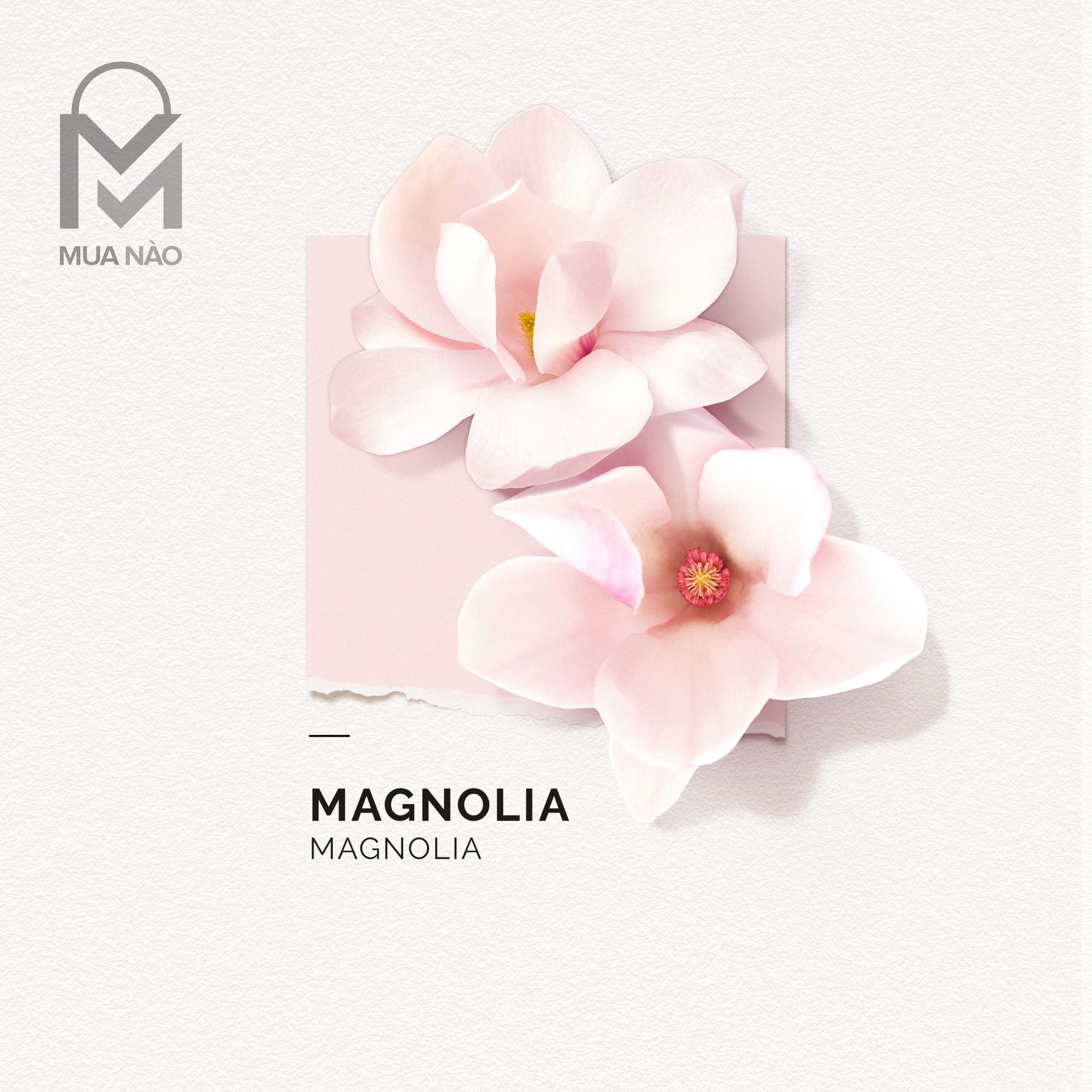 Nước hoa Pháp Magnolia 50ml - Nước hoa Nữ thơm lâu hãng Solinotes