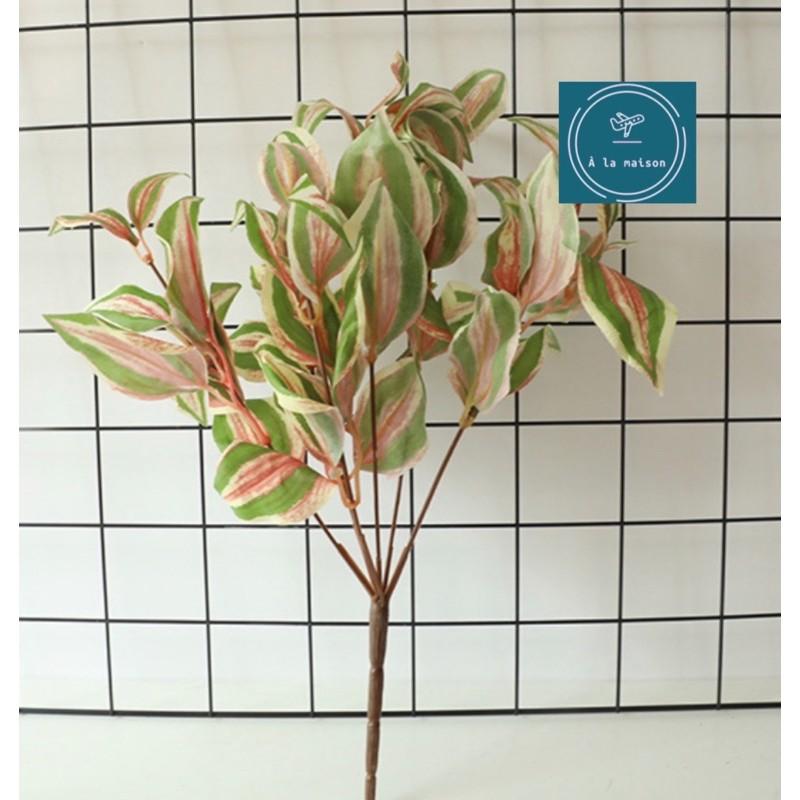 Cụm lá Peperomia cao 36cm bằng lụa dùng decor trang trí không gian sinh động tươi tắn, hoa event