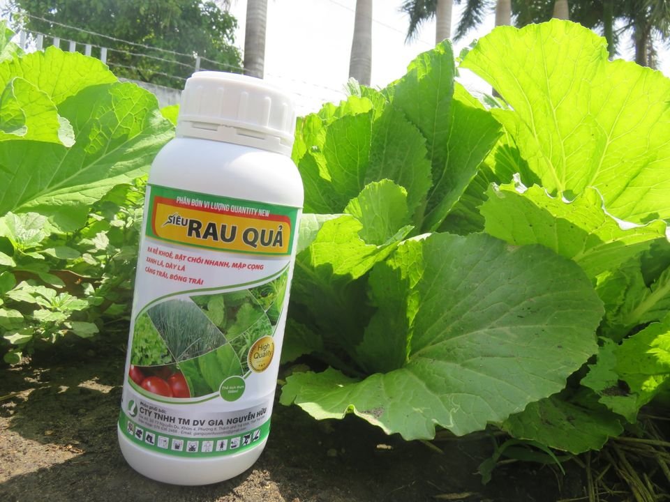 SIÊU RAU QUẢ
