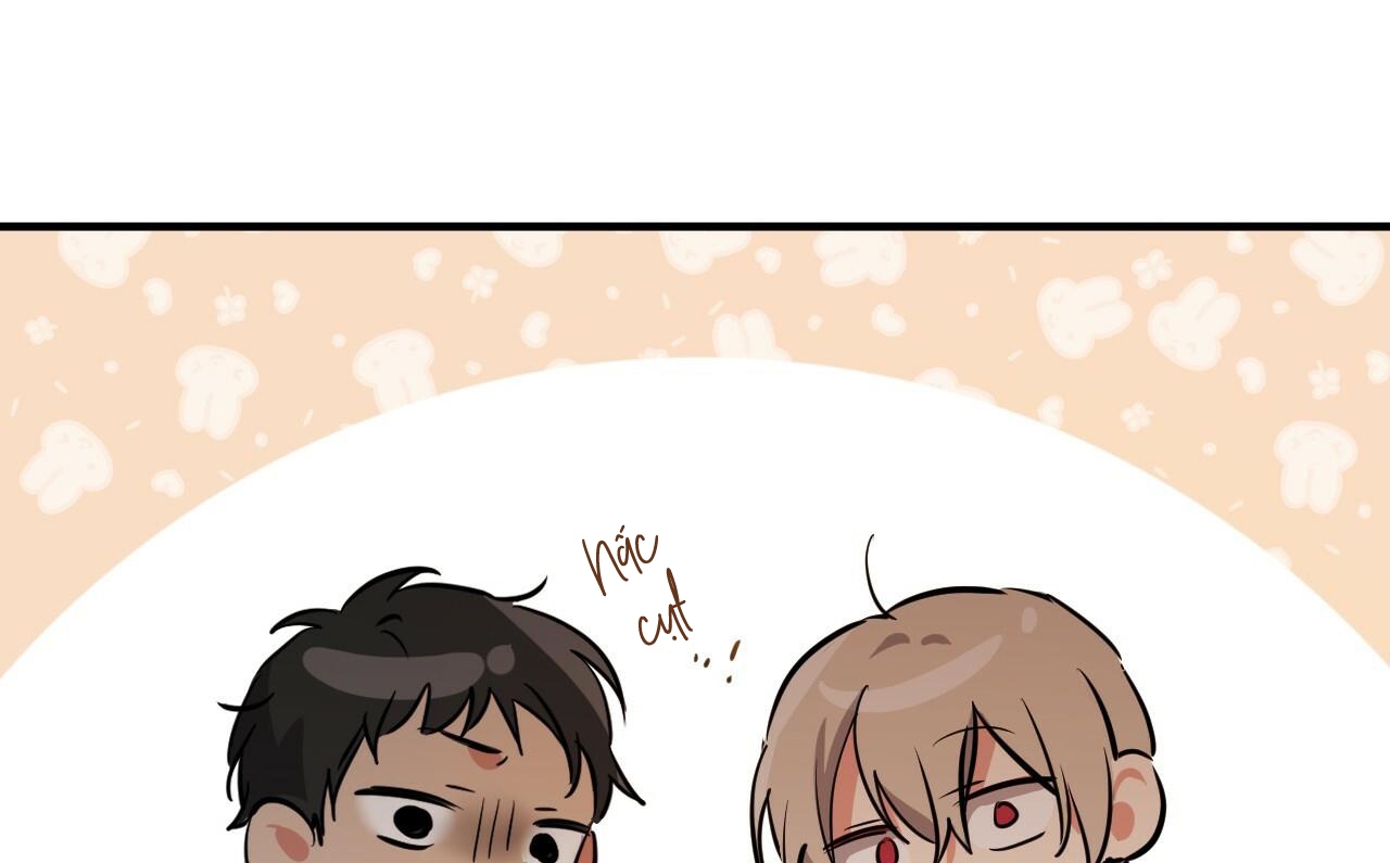 những chú thỏ của hapypy chapter 52 192