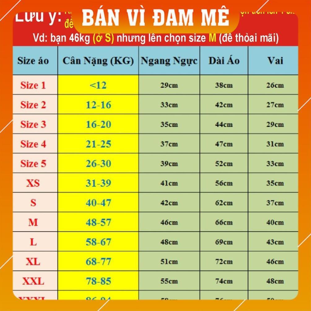 Áo lớp đẹp AL21 lấy ngay cao cấp, nhóm, học sinh, đồng phục