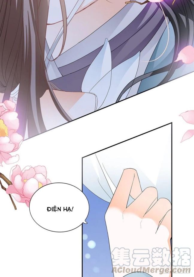 bổn vương muốn nàng chapter 49 17