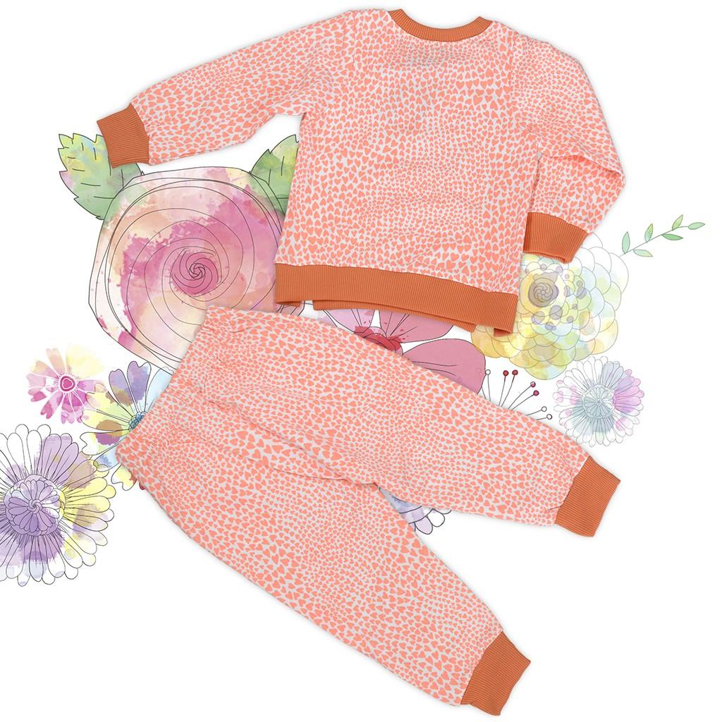 Bộ thun dài tay cho bé gái