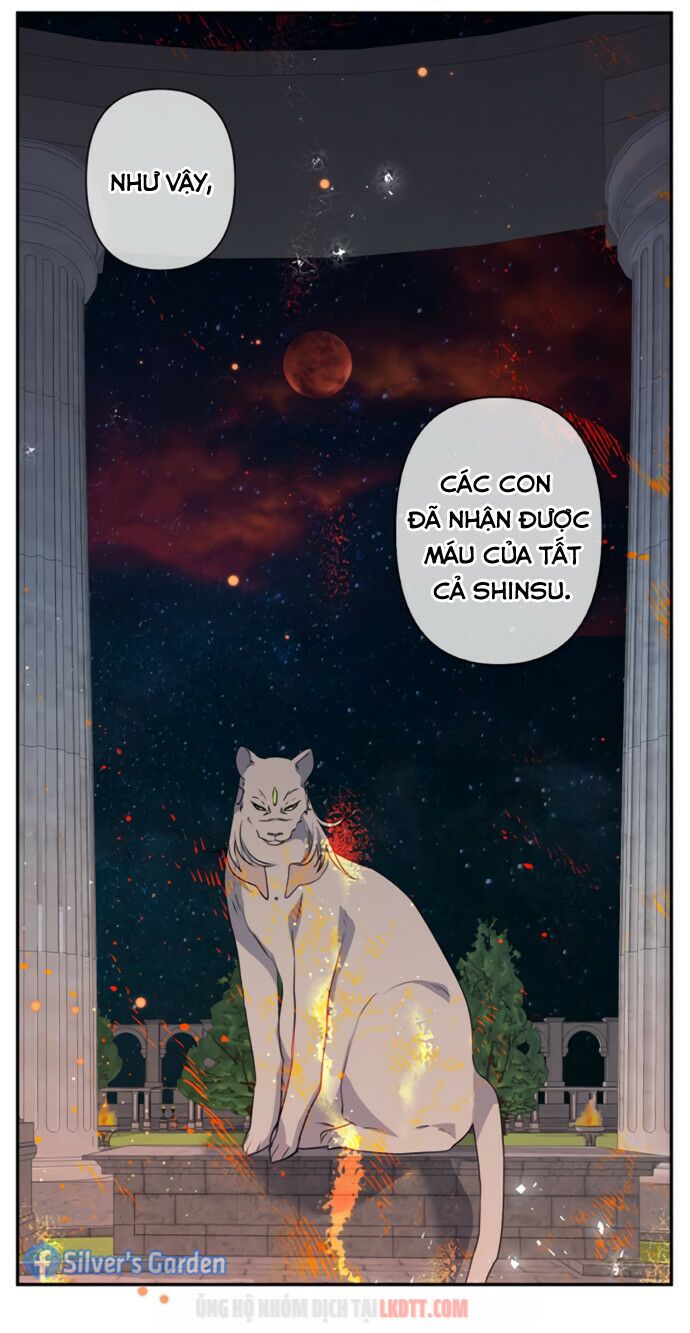 tôi đang nuôi dưỡng một con quái thú chapter 18 48