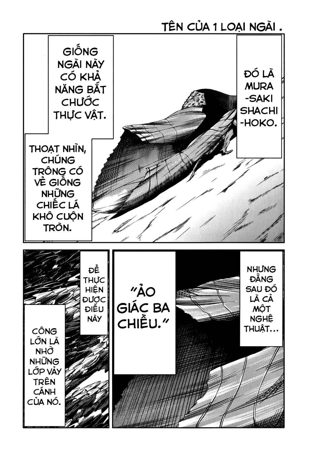 caterpillar chapter 16 13