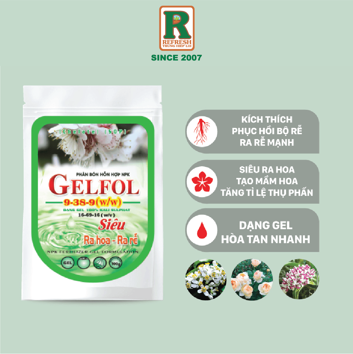 Phân bón NPK 16-69-16 GELFOL gel đậm đặc siêu ra hoa - ra rễ - phục hồi lá