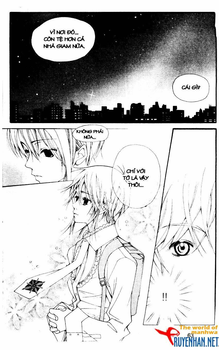 ngọc trong đá-ace chapter 22 5