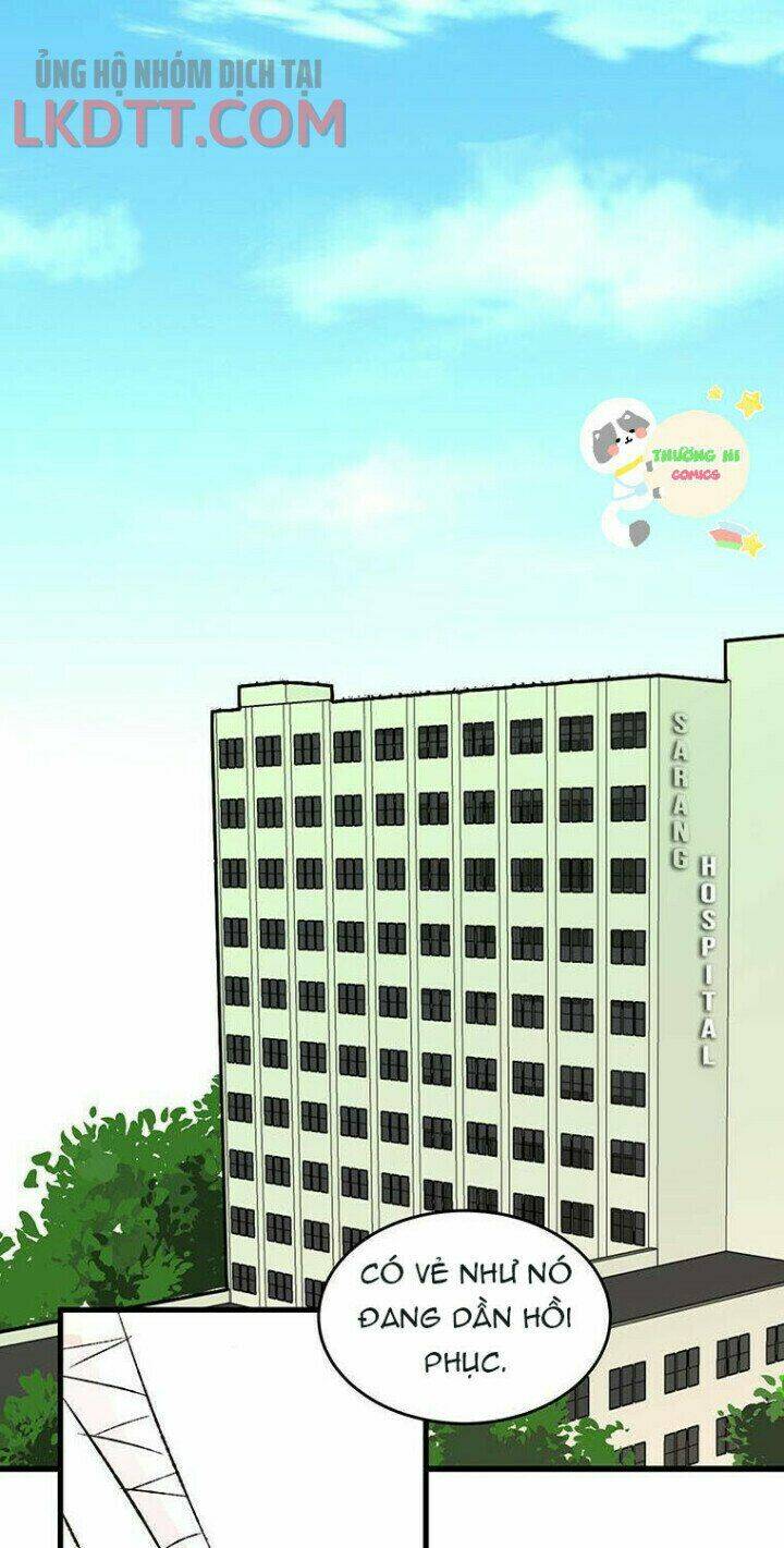 từng bước đến bên anh chapter 5 13