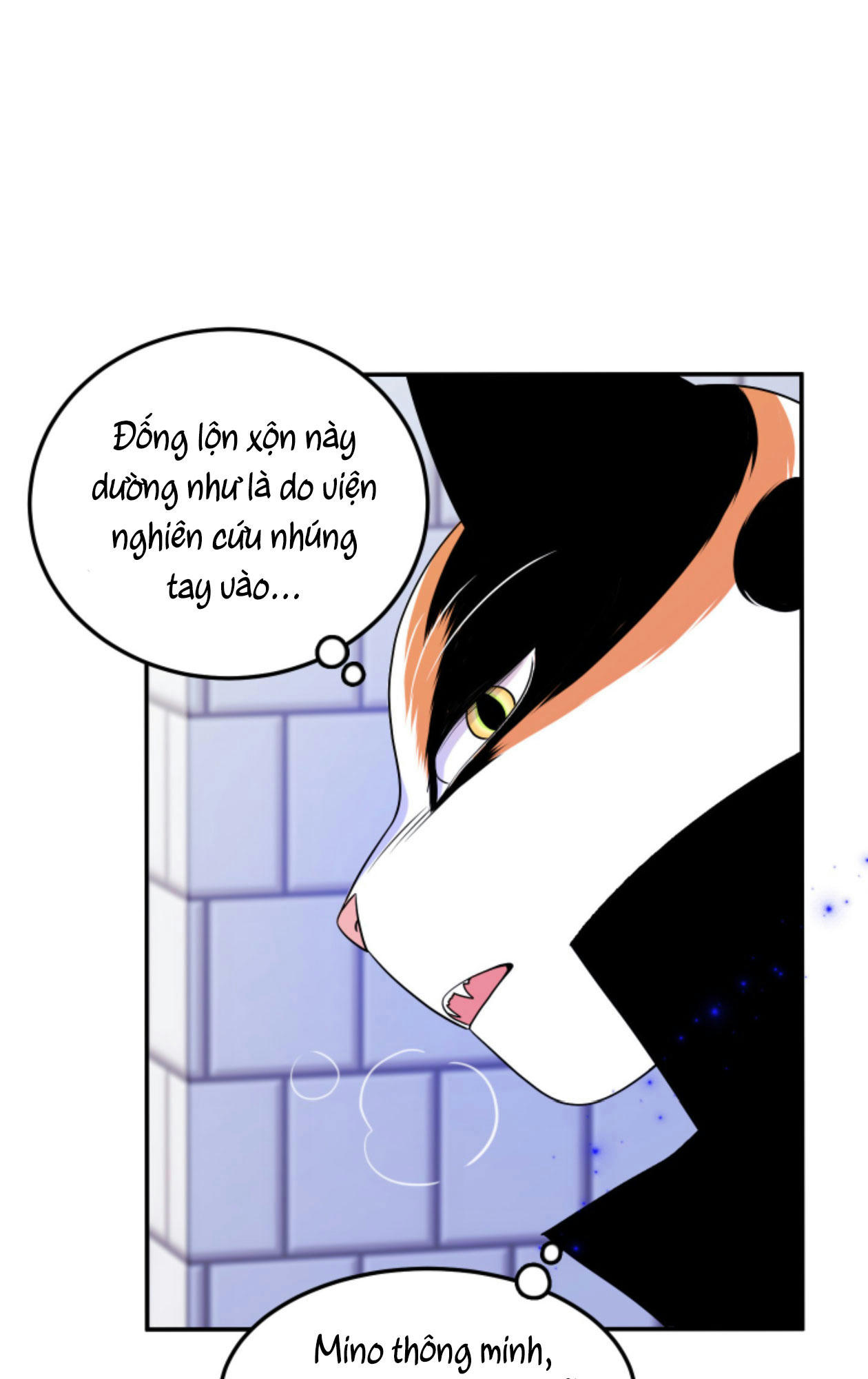 dự án xanh chapter 25 75