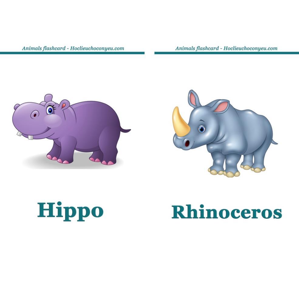 Flashcards - 52 thẻ động vật
