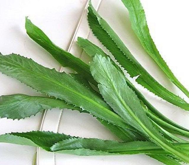 Hạt giống rau mùi tàu, ngò gai thơm cao sản gói 10gr