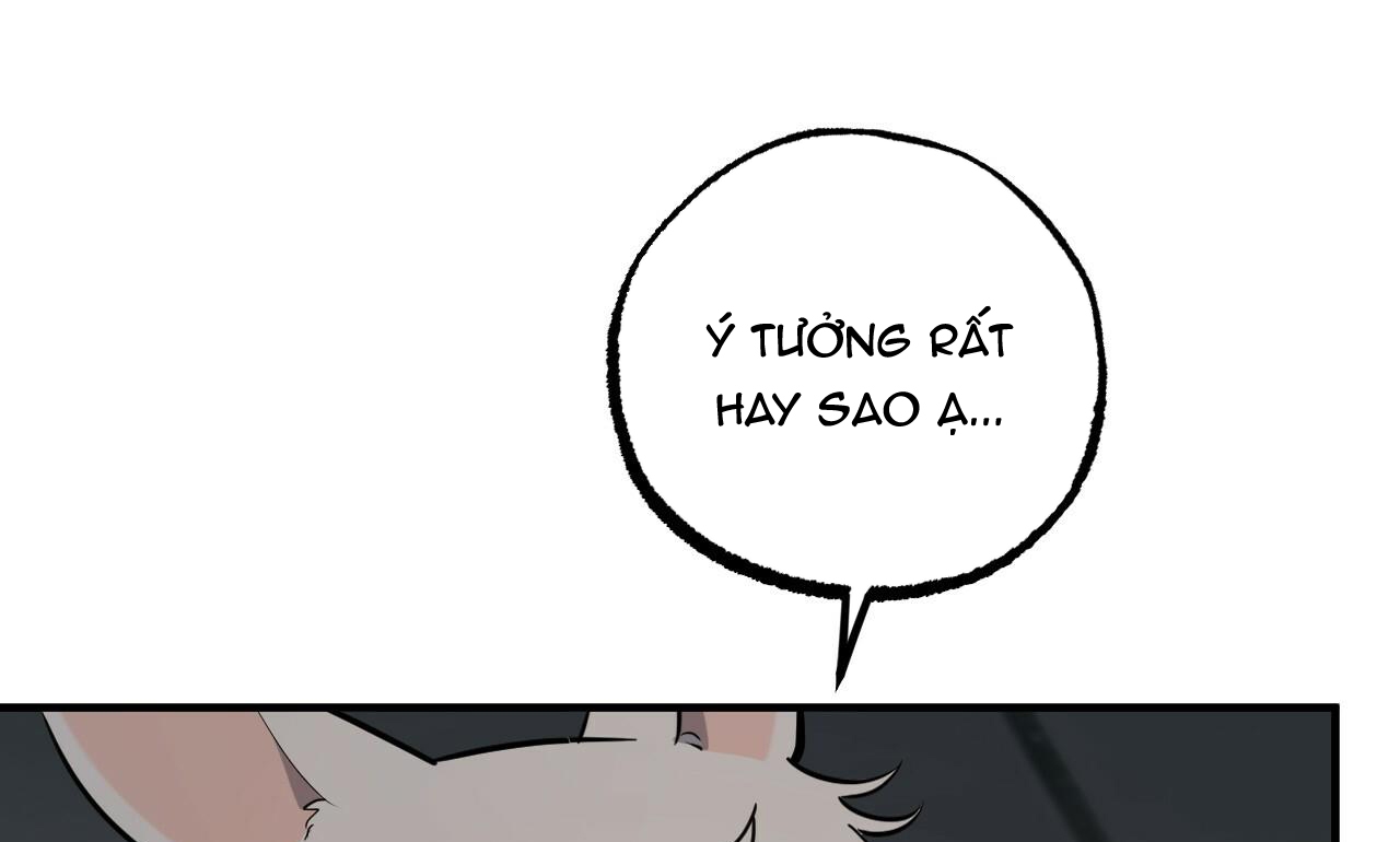 đàn thỏ của habibi chapter 47 2