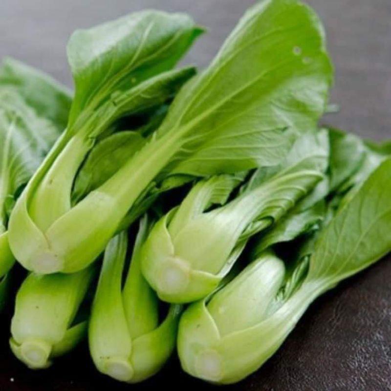 20gr Hạt giống cải thìa xanh Trang Nông
