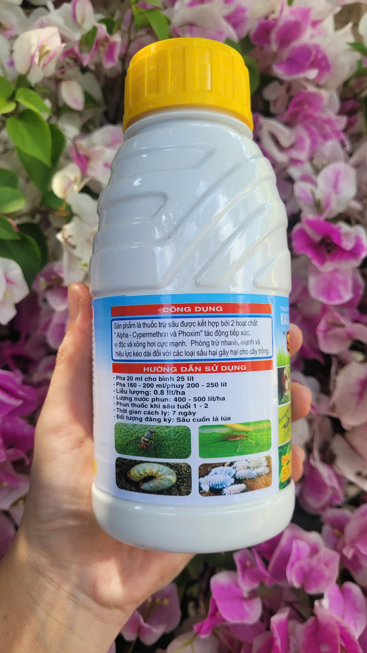 Thuốc trừ sâu, rầy, ruồi vàng, rệp sáp hiệu SIÊU SẠCH SÂU dạng sữa mát bông chai 450ml