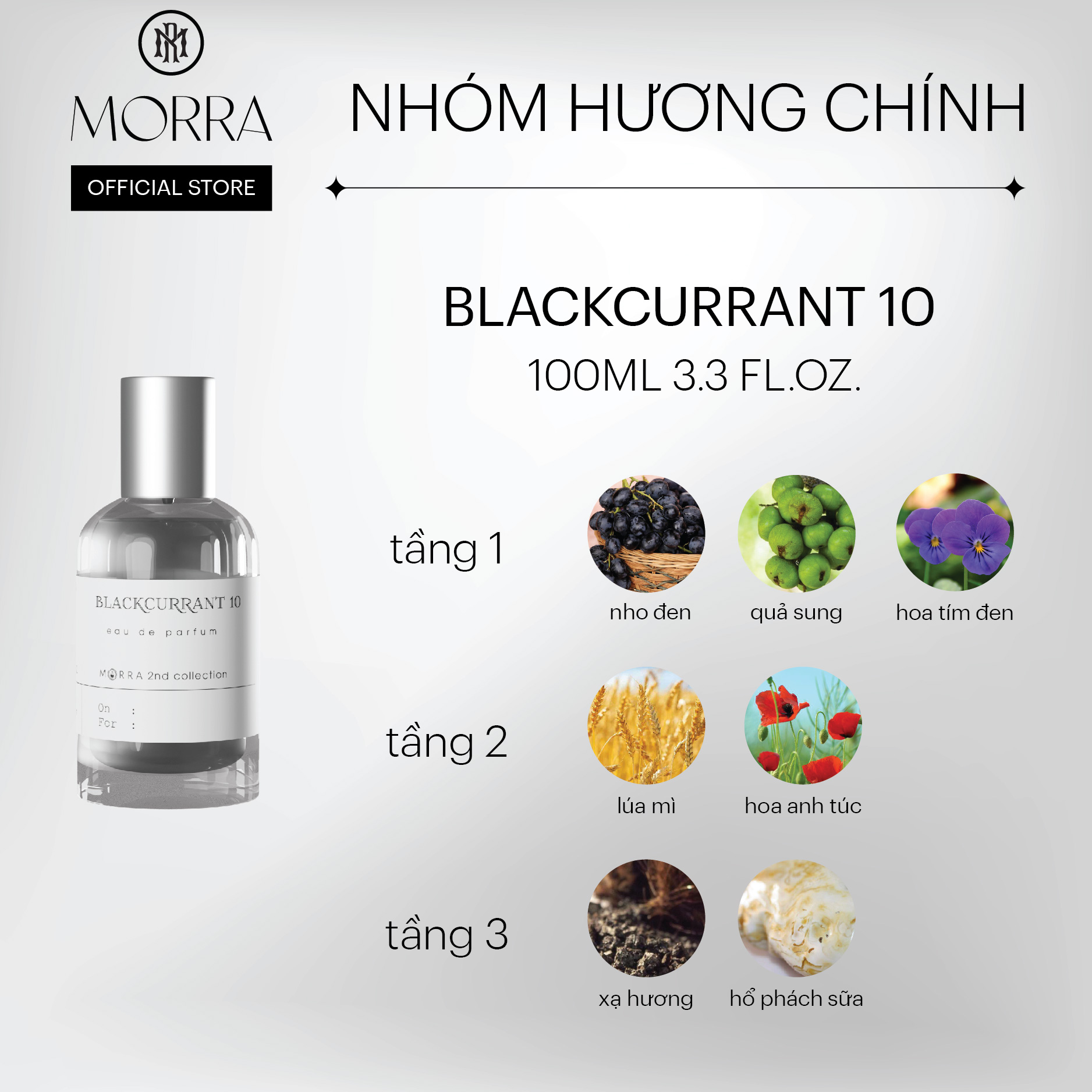 Nước Hoa Nam Nữ Morra BlackCurrant 10 Chai 100ml Nguyên Liệu Nhập Pháp Hương Thơm Cá Tính, Tươi Mát, Trẻ Trung - Dạng Xịt