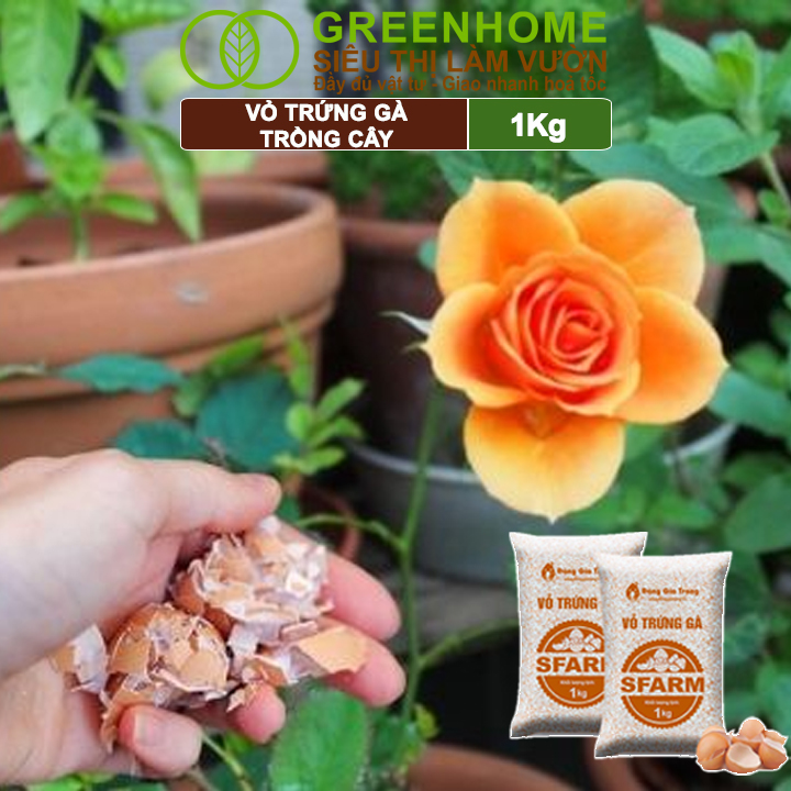 Vỏ Trứng Gà Trồng Cây Greenhome, Sfarm, Bao 1kg, Phân Bón Hữu Cơ, Ngăn Chặn Ốc Sên, Cải Tạo Đất, Chống Côn Trùng, Sâu Bọ