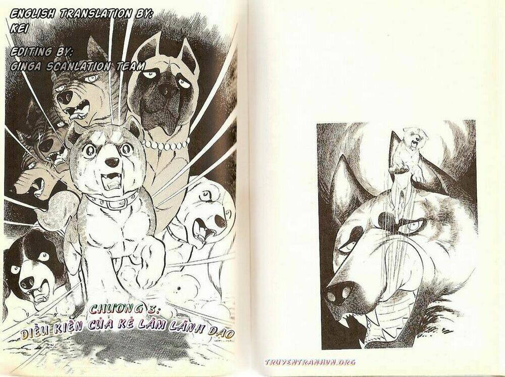 chú chó có nghĩa - ginga nagareboshi gin chapter 20 1