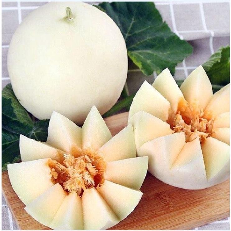 Combo 2 gói hạt giống dưa lê bạch tuyết dể trồng-gói 10 hạt/tặng kèm gói phân bón lót