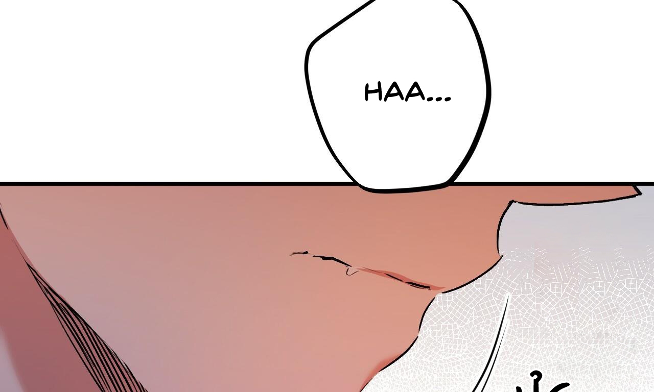 đàn thỏ của habibi chapter 33 95