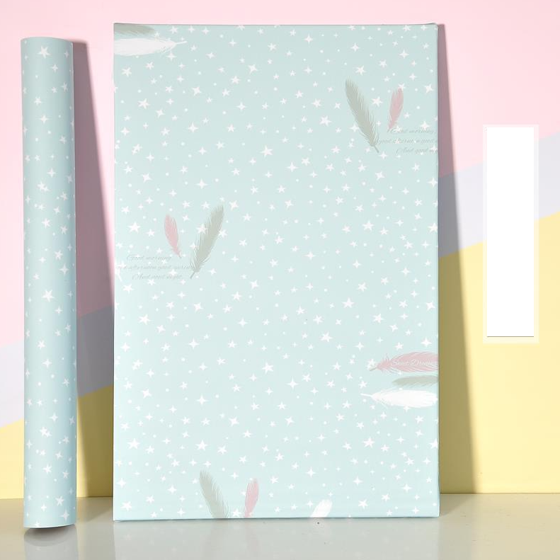 Combo 10 mét giấy dán tường, decal dán tường trang trí nhà cửa LÔNG VŨ XANH khổ 45cm