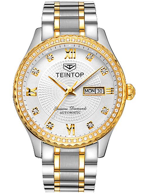 Đồng hồ nam chính hãng Teintop T8629-2 Fullbox, Kính sapphire ,chống xước,chống nước,dây kim loại thép không gỉ 316L, máy cơ , Mới 100%,Bảo hành 24 tháng,thiết kế đơn giản,sang trọng và lịch lãm