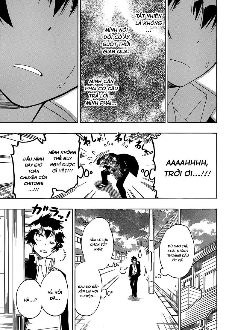 nisekoi - tình yêu giả tạo chapter 175 19