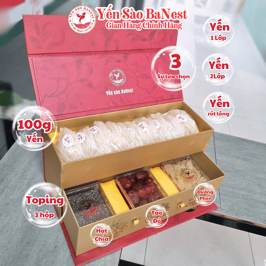 Bộ Quà Tặng 100g Tổ Yến Sào Cao Cấp dành BIẾU TẶNG Người Thân Đối Tác - Yến Sào BaNest