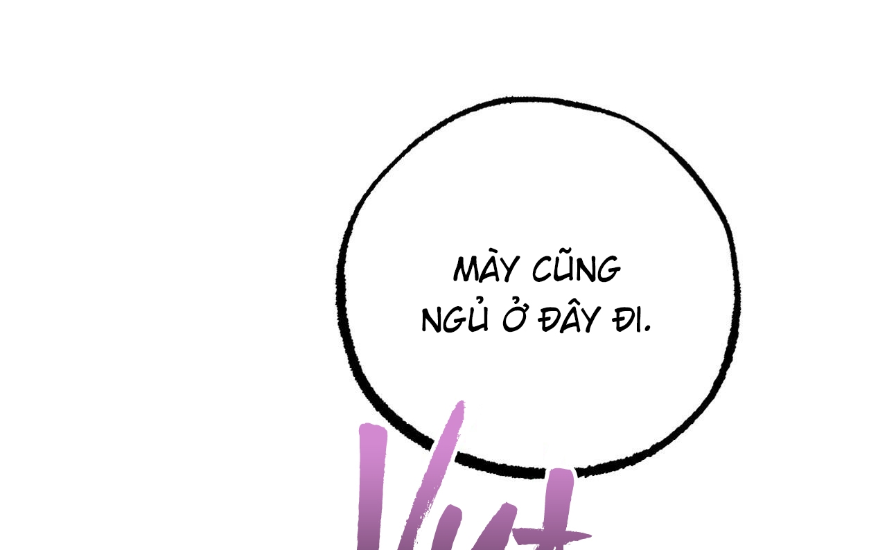 những chú thỏ của hapypy chapter 52 199