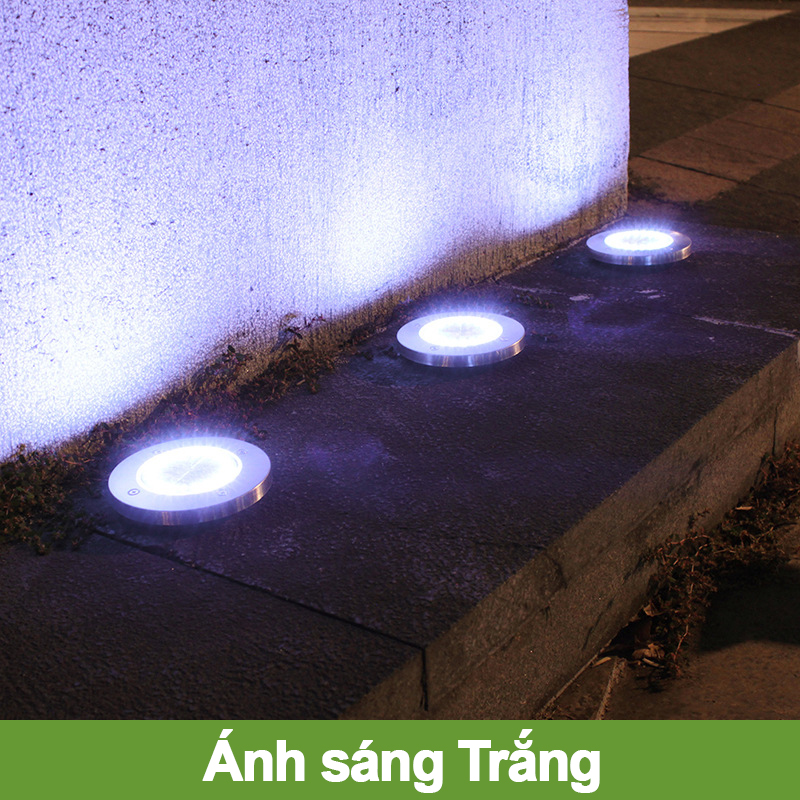Đèn cắm đất 8 LED năng lượng mặt trời trang trí sân vườn