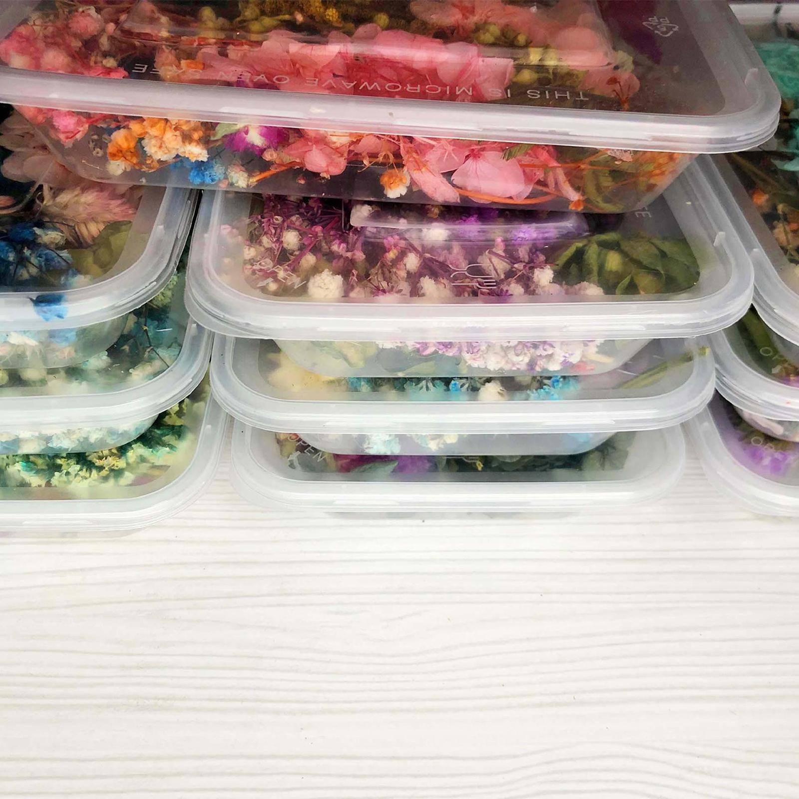 1Box Mix Natural Real Pressed Dried Flowers Petals Leaves Crafts Card Making