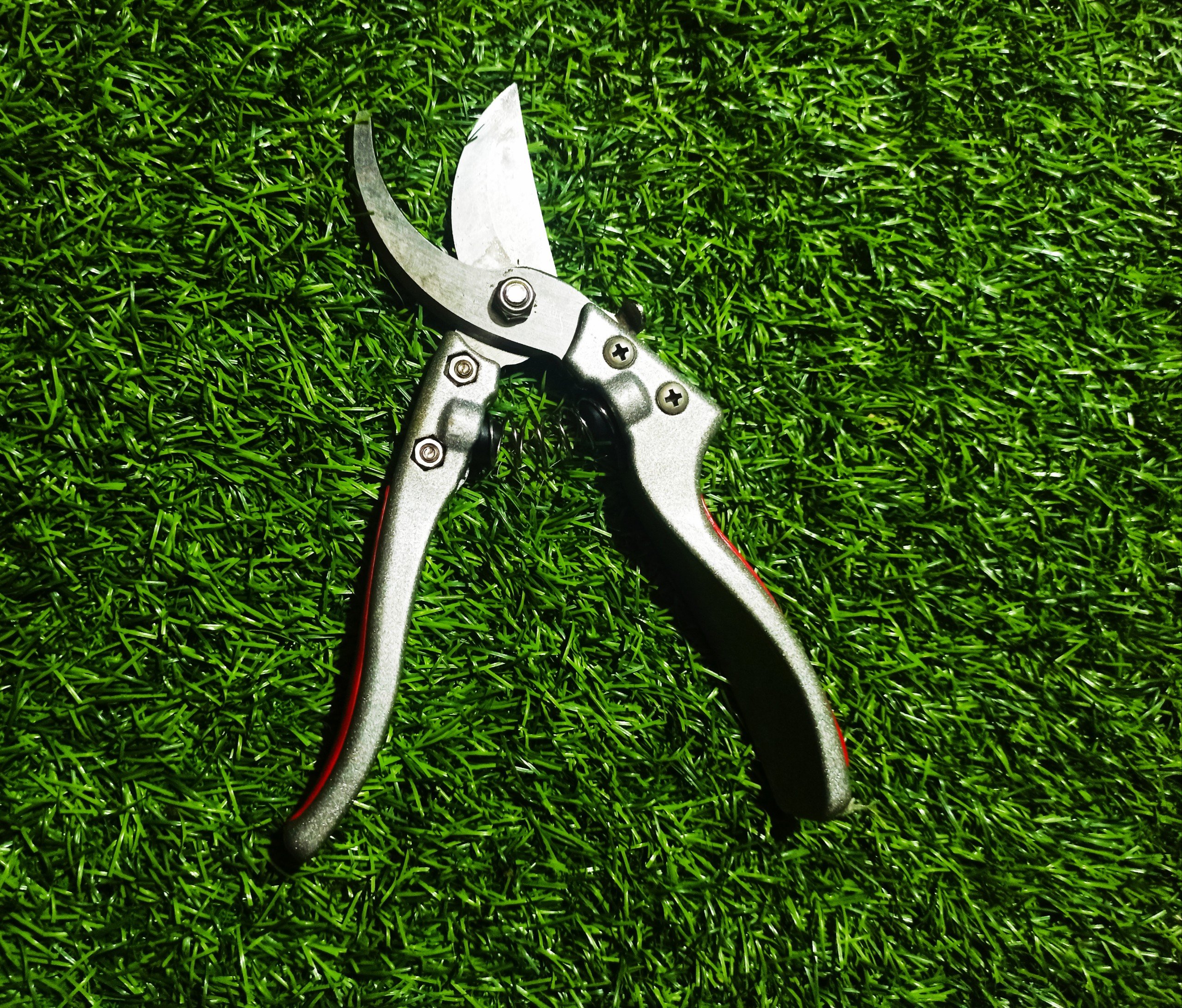 KÉO CẮT CÀNH CHUYÊN NGHIỆP