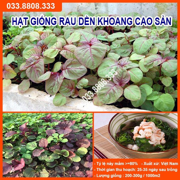Hạt Giống Rau Dền Khoang 20gram -Tỷ Lệ Nảy Mầm Cao