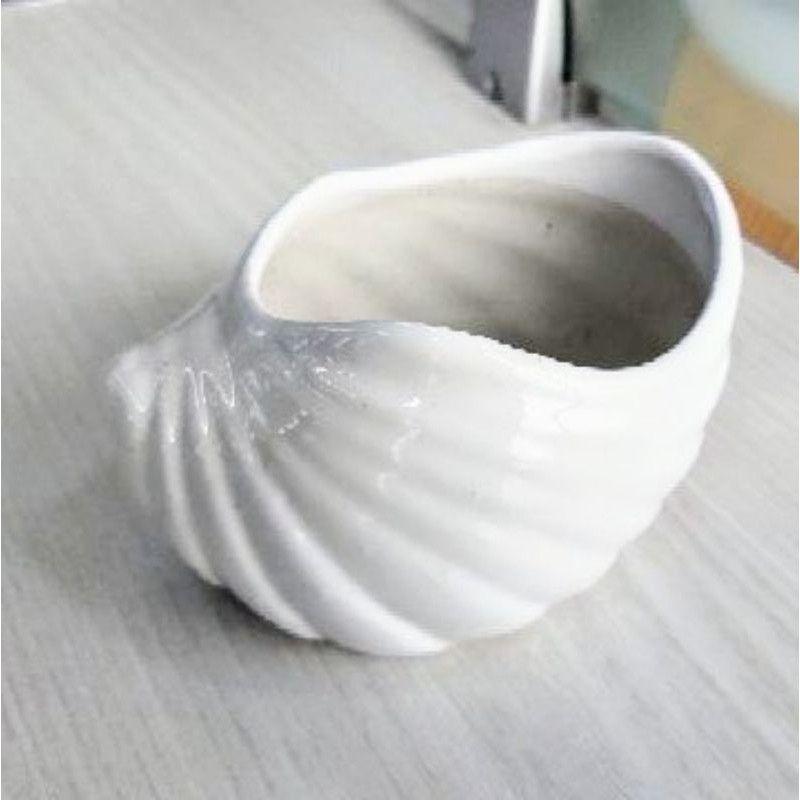 Chậu sứ trồng cây hình ốc đặc biệt