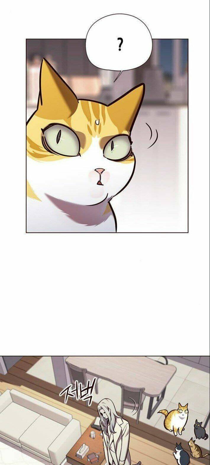 biến thân thành mèo chapter 139 6