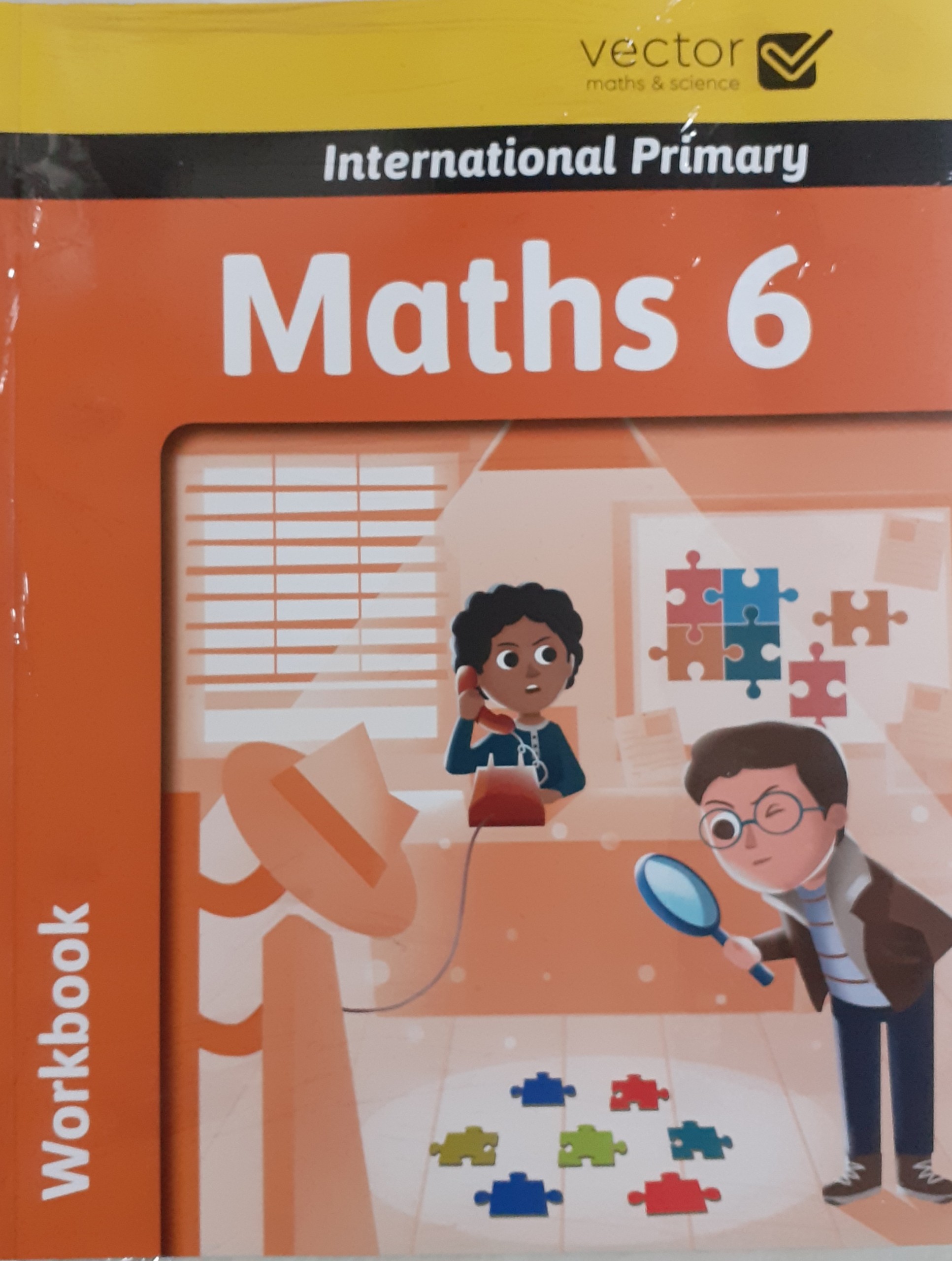 Vector: Sách hệ Cambrige - Học toán bằng tiếng Anh - Maths 6 - Workbook