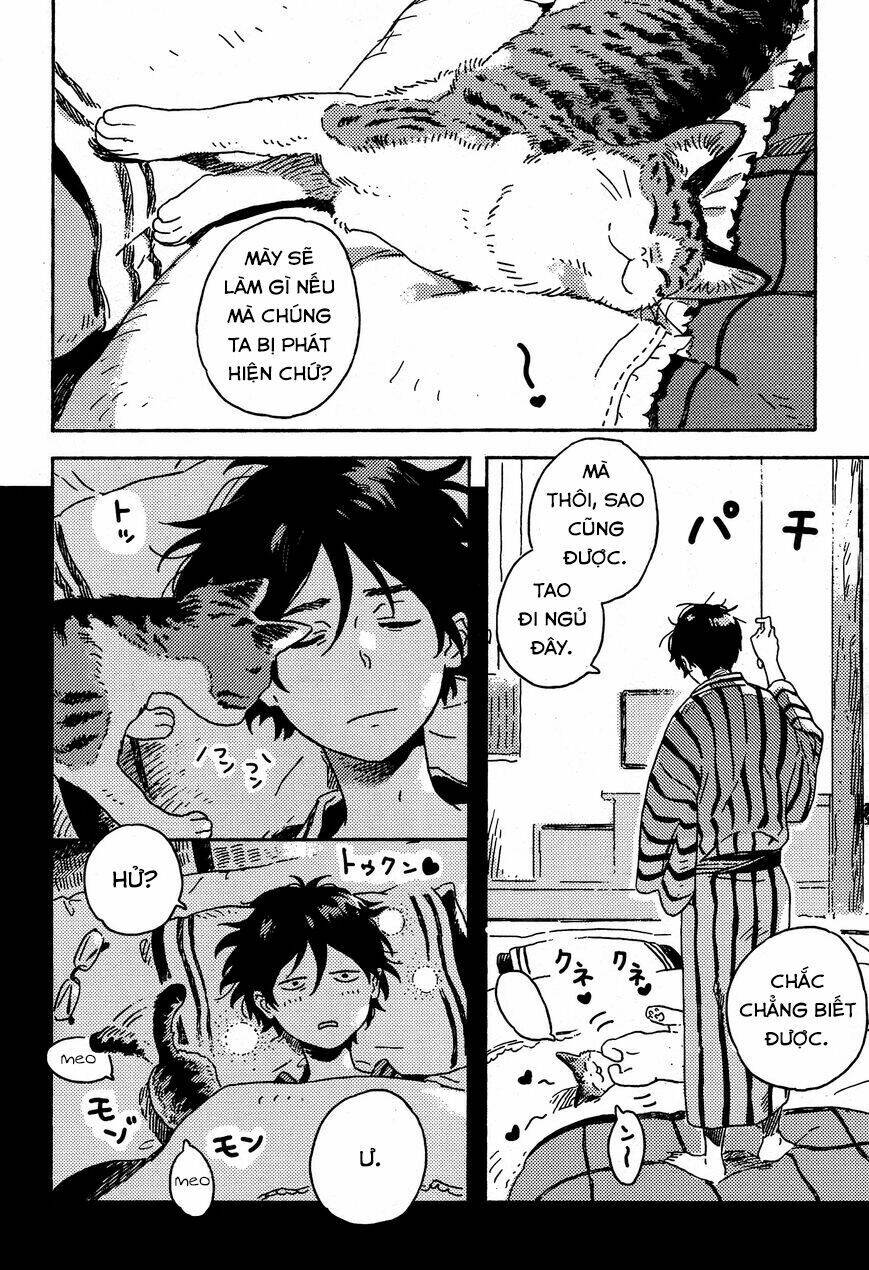 dare datte skylark chapter 1 23