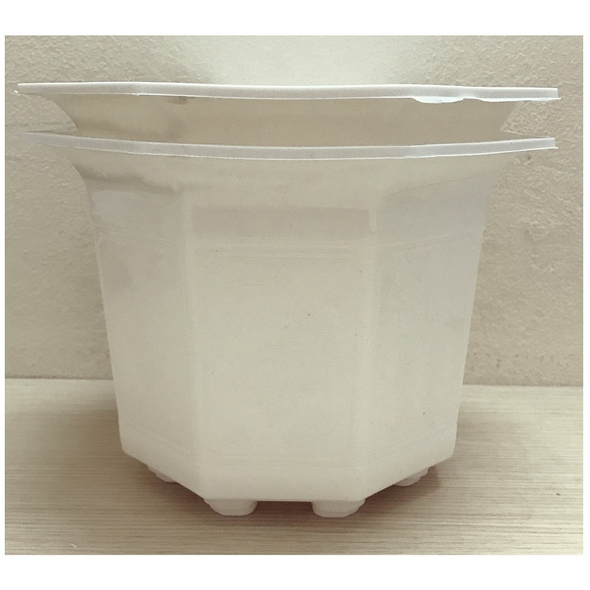 2 Chậu Nhựa Bát Giác 210x170 Màu Trắng