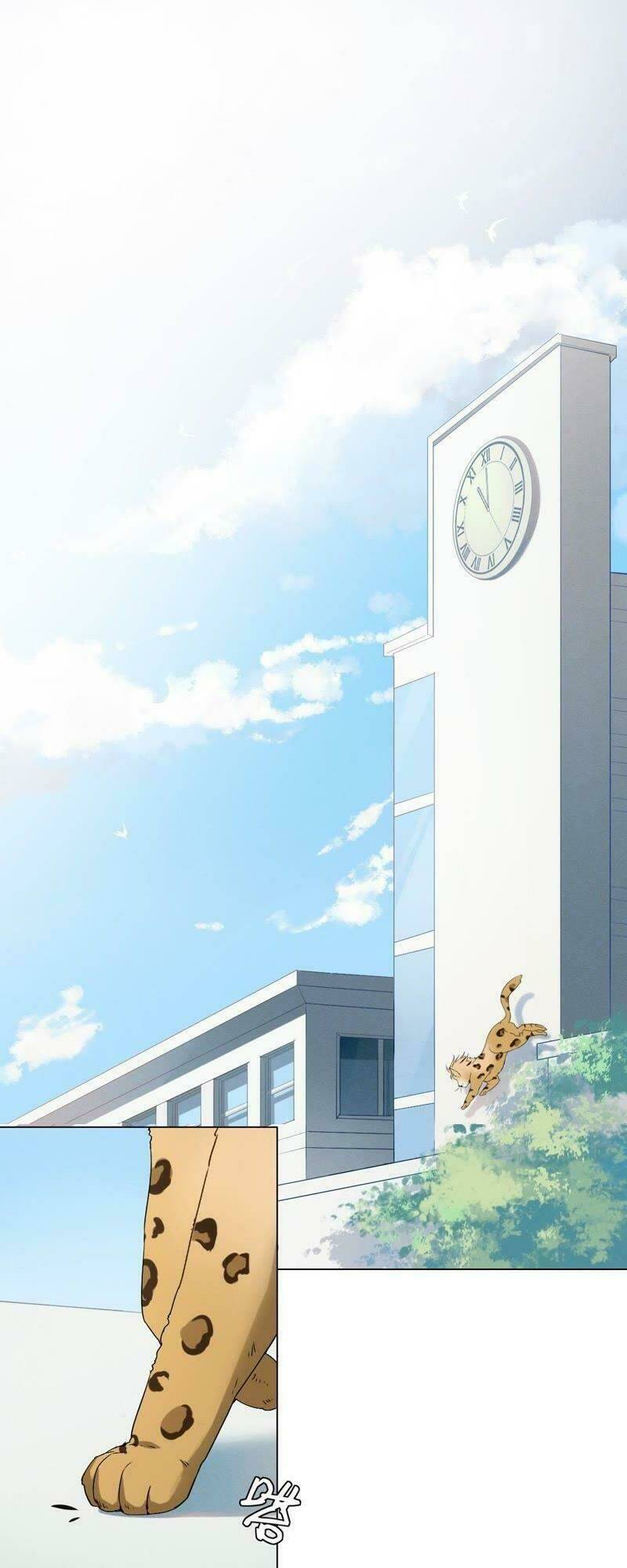 thập nhị hắc miêu chapter 1 1