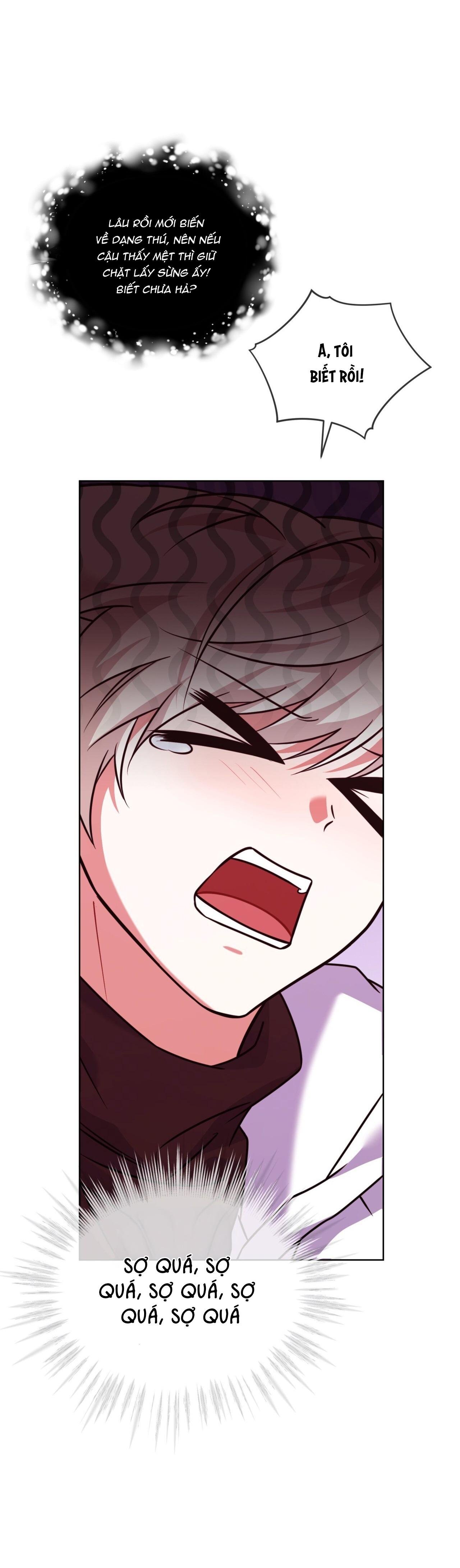 nước uống tình yêu của cáo plin chapter 33 6