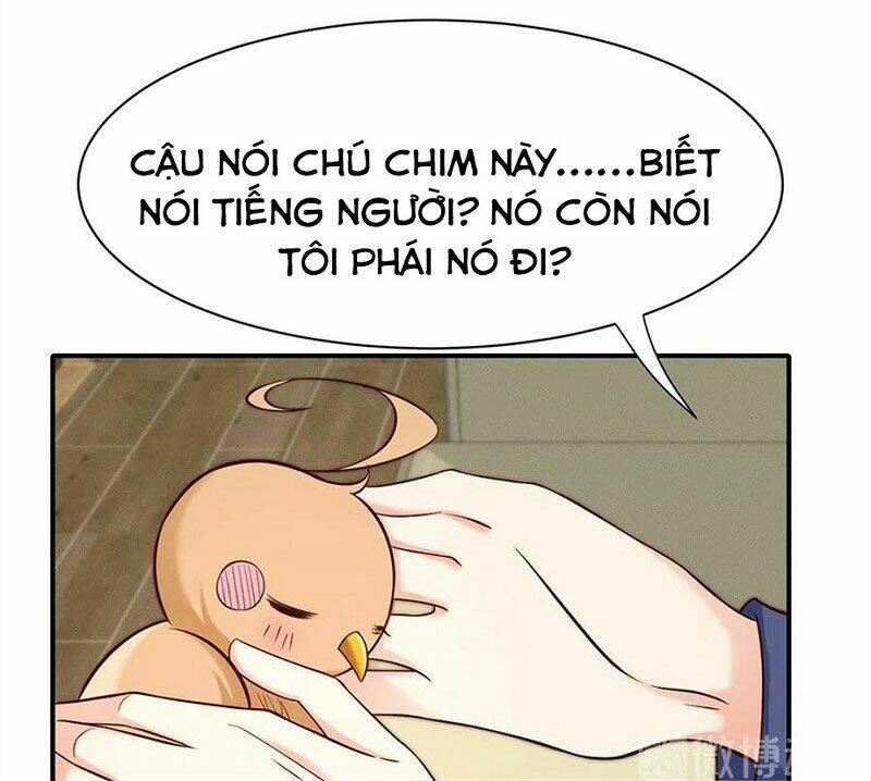 nam thần truy thê chỉ nam chapter 108.2 15