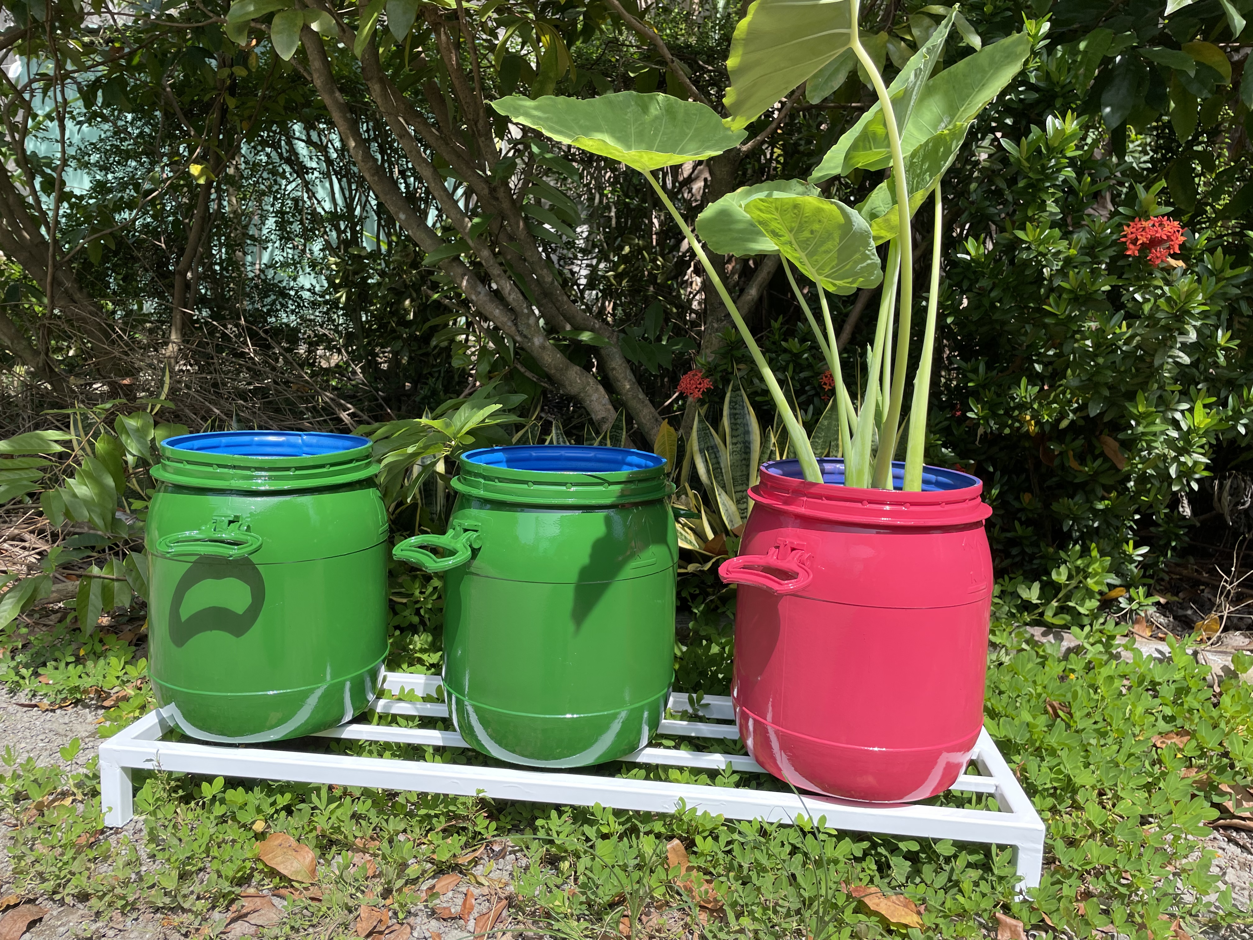 Chậu trồng hoa kiểng bằng phuy sơn mỹ thuật - Chất liệu nhựa Phuy chất lượng cao siêu bền