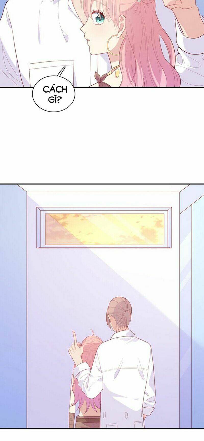 vương tử thành phố và công chúa amazon chapter 52 26