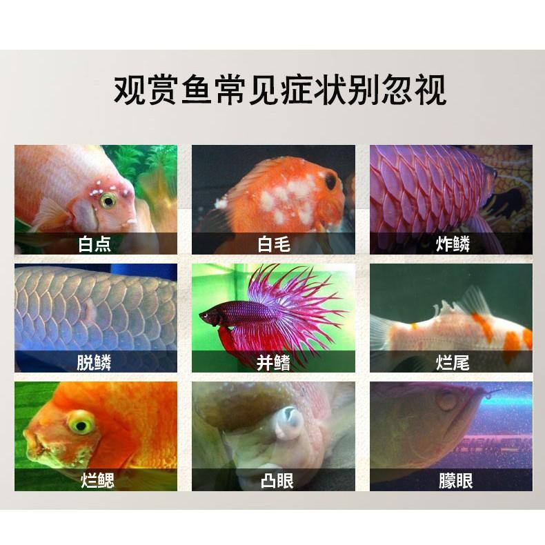 Muối khoáng nén dành cho cá cảnh -Muối Khoáng viên nén Cho Hồ Cá Tép Cảnh -Hồ cá cảnh-bể cá