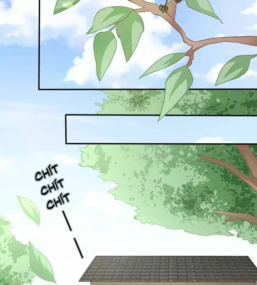 hoàng tử phu quân, ta nuôi ngươi a! chapter 2 40