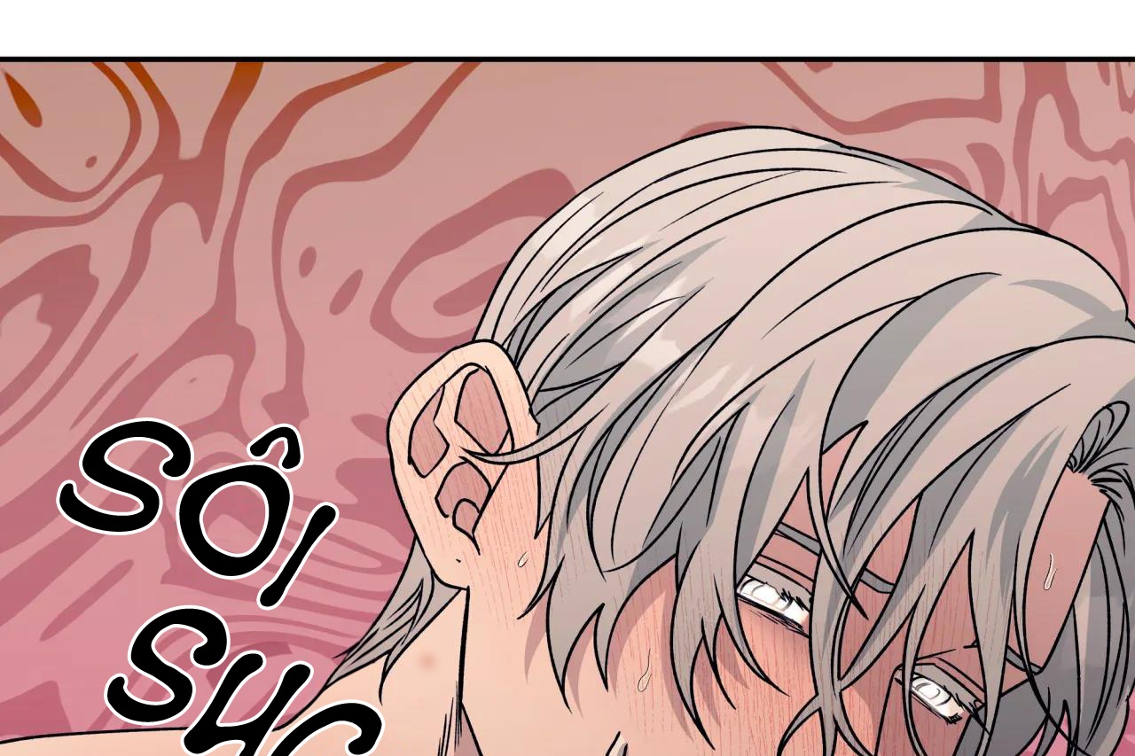 ám ảnh pheromone chapter 64 1