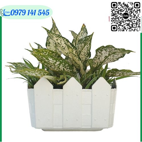 Chậu Nhựa Trồng Cây Treo Tường Kiểu Hàng Rào Màu Trắng Và Màu Xanh - Dùng Để Treo Ban Công và Hàng Rào