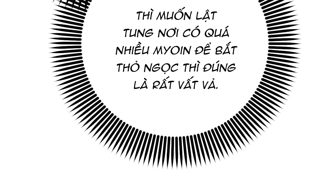 đàn thỏ của habibi chapter 49 41